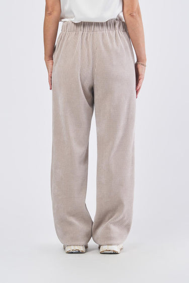 Pantalone FOSTER 252578601 jersey velluto a coste FOSTER 252578601 001 CACHA EMME MARELLA 