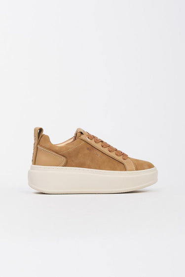 Sneaker SXBCHSW 9503 stone high SXBCHSW 9503 COGNAC ALEXANDER SMITH 