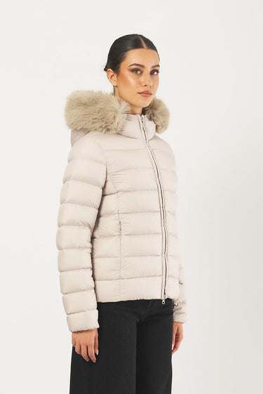 Giubbotto 2239E con cappuccio e trapuntata 2239E 06 COLMAR 