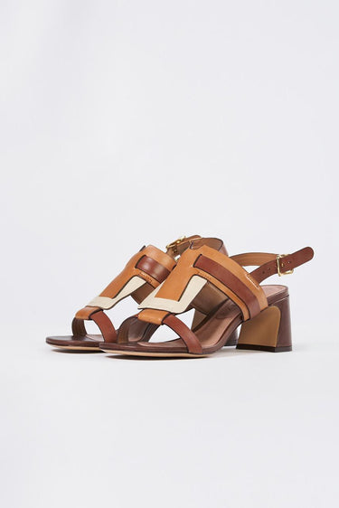 Sandalo CORTONA 2448004Z