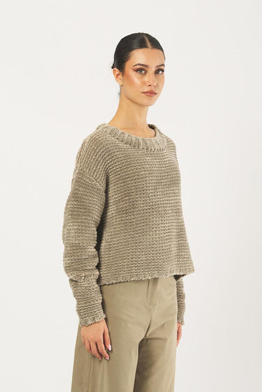 Maglia W25658 W25658 87 TABACCO RRD